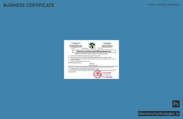 Beispielansicht eines Registrierungszertifikats aus Kamerun